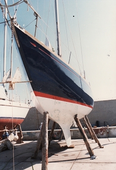 [Immagine: 20101685426_fosc 1.jpg]